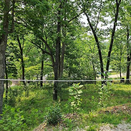 Cool Valley Rest Rocky Mount 외부 사진