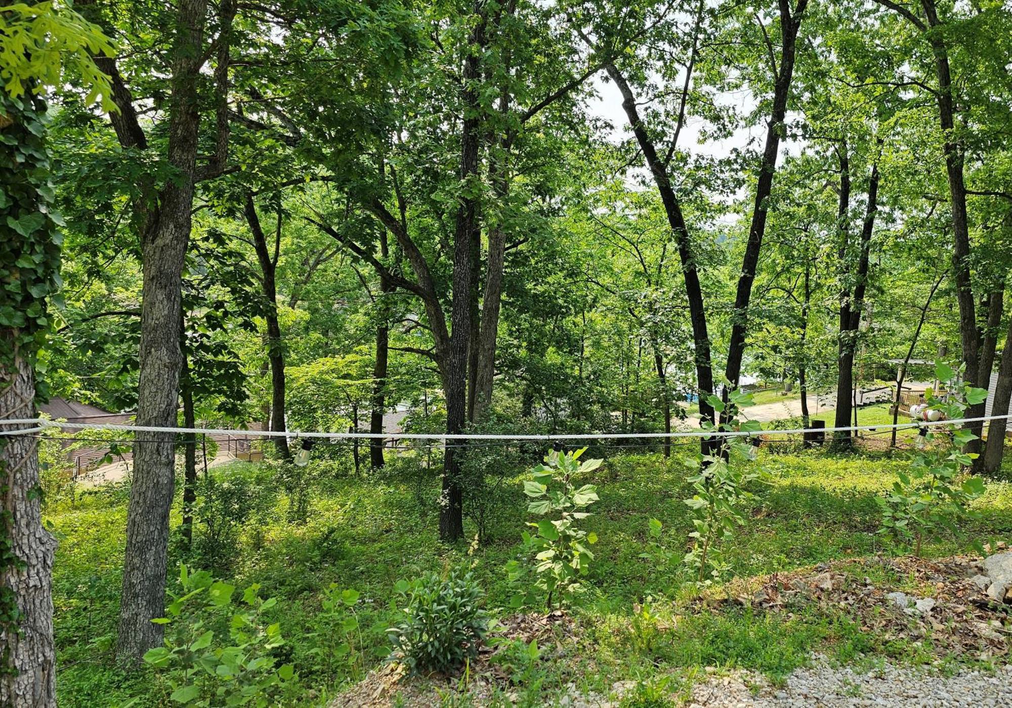 Cool Valley Rest Rocky Mount 외부 사진